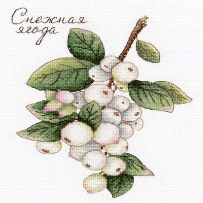 MP Studia - Berries SNV-662 Counted Cross Stitch Kit Image 1