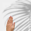 Mr. Kate Tropical Shadow Palm Frond Peel And Stick Wall Decals Image 4
