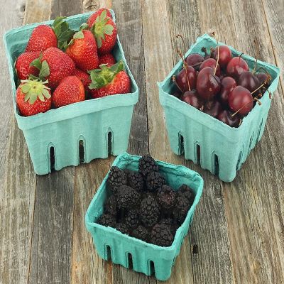 MT Products Green Vented Produce Berry Basket 1 Pint Pulp Fiber - Pack of 15 Image 1