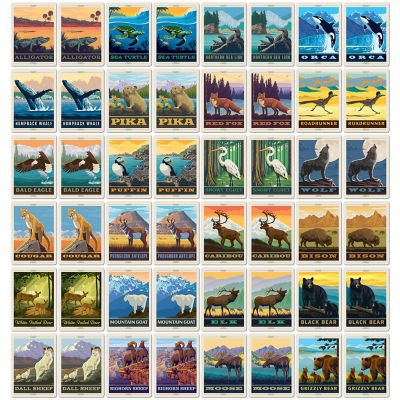 National Parks Wildlife Memory Game Image 2