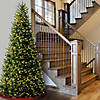National Tree Company 10 ft. Natural Fraser Slim Fir Tree with Clear Lights Image 1