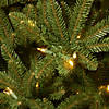 National Tree Company 10 ft. Natural Fraser Slim Fir Tree with Clear Lights Image 2