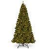 National Tree Company 10 ft. North Valley&#174; Spruce Tree with Clear Lights Image 1