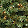 National Tree Company 10 ft. North Valley&#174; Spruce Tree with Clear Lights Image 2