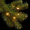 National Tree Company 10 ft. North Valley&#174; Spruce Tree with Clear Lights Image 3