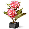 National Tree Company 10" Home / Room Decor Potted Pink Flower Blooms Image 1