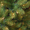 National Tree Company 12 ft. Kingswood&#174; Fir Pencil Tree with Clear Lights Image 2