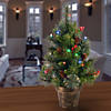 National Tree Company 2 ft. Crestwood Spruce Tree with Battery Operated Multicolor LED Lights Image 1