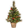 National Tree Company 2 ft. Crestwood Spruce Tree with Clear Lights Image 1
