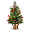 National Tree Company 2 ft. Crestwood&#174; Spruce Tree Image 1