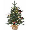 National Tree Company 2 ft. Happy Hill Pine Tree with LED Lights Image 1