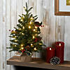 National Tree Company 2 ft. Happy Hill Pine Tree with LED Lights Image 1