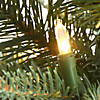 National Tree Company 2 ft. Happy Hill Pine Tree with LED Lights Image 2