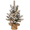National Tree Company 2 ft. Snowy Sheffield Spruce Tree with Battery Operated Lights Image 1