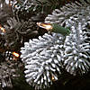 National Tree Company 2 ft. Snowy Sheffield Spruce Tree with Battery Operated Lights Image 2