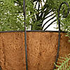 National Tree Company 20" Green Pine Wall Basket-233 Tips Image 3