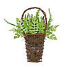 National Tree Company 20" Mixed Fern/Astilbe Hanging Basket Image 3
