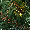 National Tree Company 20" Tiffany Fir Hanging Basket with Battery Operated Warm White LED Lights Image 2