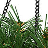 National Tree Company 20" Tiffany Fir Hanging Basket with Battery Operated Warm White LED Lights Image 3