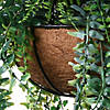National Tree Company 21" Hanging Basket with Fern Leaves Image 3