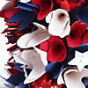 National tree company 21" red, white and blue wreath Image 2
