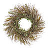 National Tree Company 22" Fern Garden Wreath with Poppies and Cones Image 3