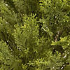National Tree Company 22" Globe Cedar Tree with Dark Green Round Growers Pot Image 2