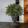 National Tree Company 24" Artificial Crestwood Spruce Porch Bush in Gray Urn, Pre-Lit with White Twinkly LED Lights, Christmas Collection, Silver, Plug In Image 1