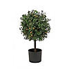 National Tree Company 24" Boxwood Single Ball Topiary in Black Plastic Nursery Pot with 50 Clear Lights- UL- A/C Image 1
