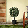 National Tree Company 24" Boxwood Single Ball Topiary in Black Plastic Nursery Pot with 50 Clear Lights- UL- A/C Image 1