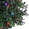 National Tree Company 24" Boxwood Single Ball Topiary in Black Plastic Nursery Pot with 50 RGB LED Lights- UL- A/C Image 2