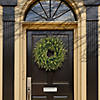 National Tree Company 24" Dunhill&#174; Fir Wreath with Clear Lights Image 1