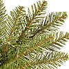 National Tree Company 24" Dunhill&#174; Fir Wreath with Clear Lights Image 3
