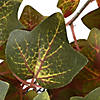 National Tree Company 24 in. Harvest Green Ivy Wreath Image 2