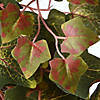 National Tree Company 24 in. Harvest Green Ivy Wreath Image 3