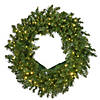 National Tree Company 24" Kingswood&#174; Fir Wreath with Battery Operated Dual Color&#174; Infinity Lights&#174; Image 1