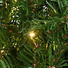 National Tree Company 24" Kingswood&#174; Fir Wreath with Battery Operated Dual Color&#174; Infinity Lights&#174; Image 2