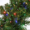 National Tree Company 24" Kingswood&#174; Fir Wreath with Battery Operated Dual Color&#174; Infinity Lights&#174; Image 3