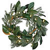 National Tree Company 24" Magnolia Mix Pine Wreath with LED Lights Image 1