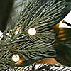 National Tree Company 24" Magnolia Mix Pine Wreath with LED Lights Image 2