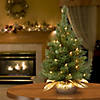 National Tree Company 24" Majestic Fir Tree with Clear Lights Image 1