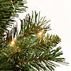 National Tree Company 24" Majestic Fir Tree with Clear Lights Image 2
