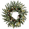 National Tree Company 24" Pre-Lit Artificial Christmas Wreath, Snowy Morgan Spruce with Twinkly LED Lights, Plug in Image 1