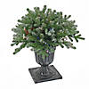 National Tree Company 24" Snowy Morgan Spruce Porch Bush with Twinkly LED Lights Image 1