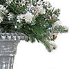 National Tree Company 24" Snowy Sheffield Spruce Porch Bush with Twinkly LED Lights Image 2