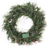National Tree Company 24" Whitter Pine Wreath with LED Lights Image 3