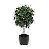 National Tree Company 24"Boxwood Single Ball Topiary in Black Plastic Nursery Pot Image 1