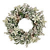 National Tree Company 26" Pre-Lit Artificial Christmas Wreath, Frosted Colonial, White LED Lights, Battery Powered Image 1