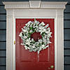 National Tree Company 26" Pre-Lit Artificial Christmas Wreath, Frosted Colonial, White LED Lights, Battery Powered Image 1