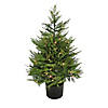 National Tree Company 3 ft. Cypress Topiary in Black Plastic Nursery Pot with 100 Clear Lights- UL- A/C Image 1